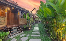 Abian Ubud View